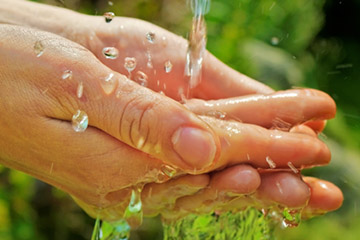 cupped hands with water dripping